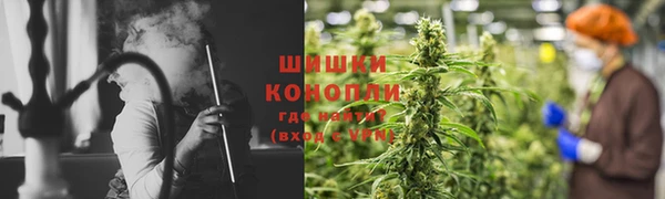 дурь Арсеньев