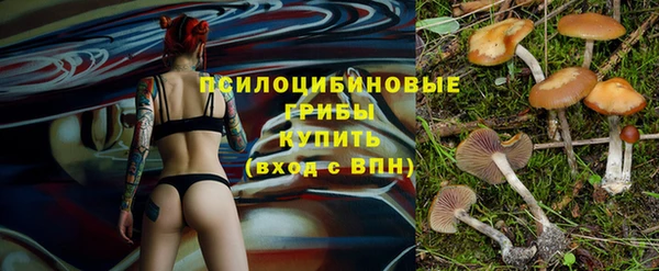 мет Аркадак