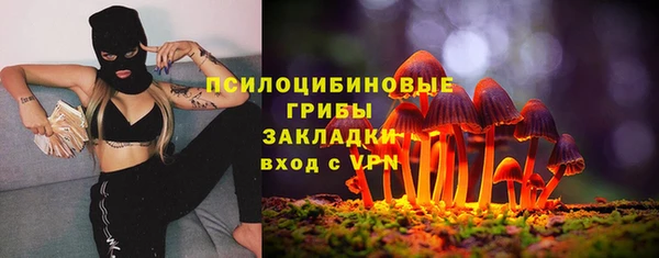 мет Аркадак