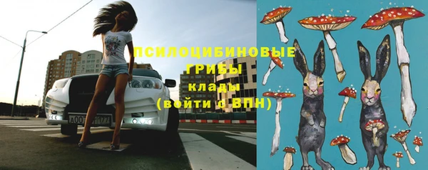 мет Аркадак